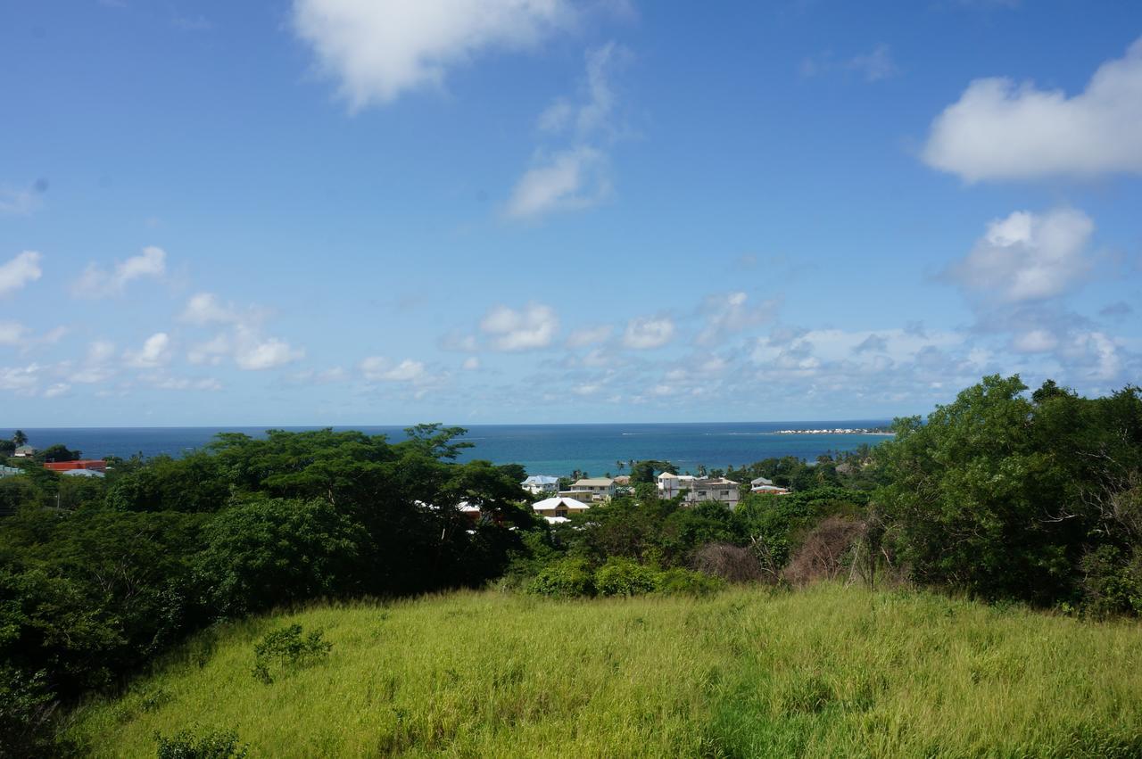 Faith'S Villa Tobago Даймонд Экстерьер фото